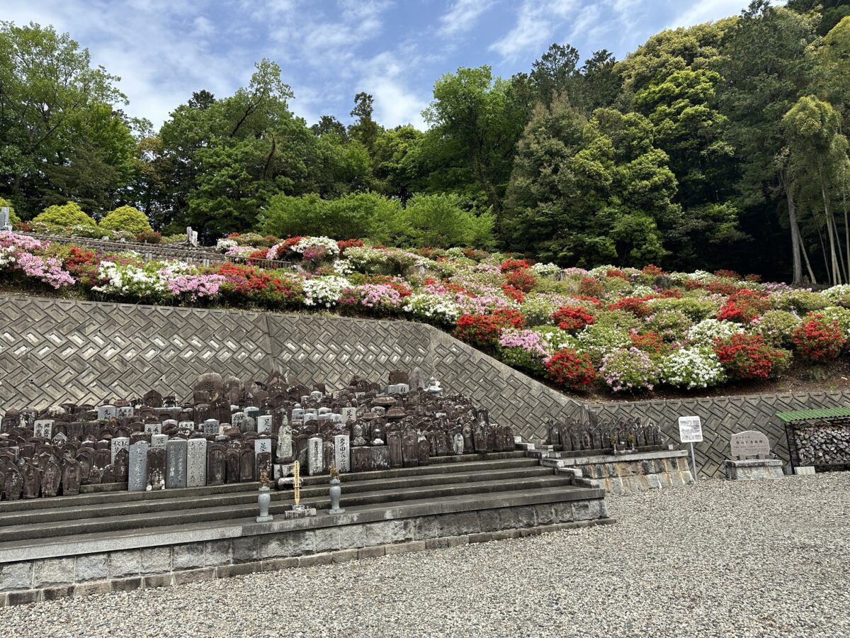 永昌寺のツツジが見頃です